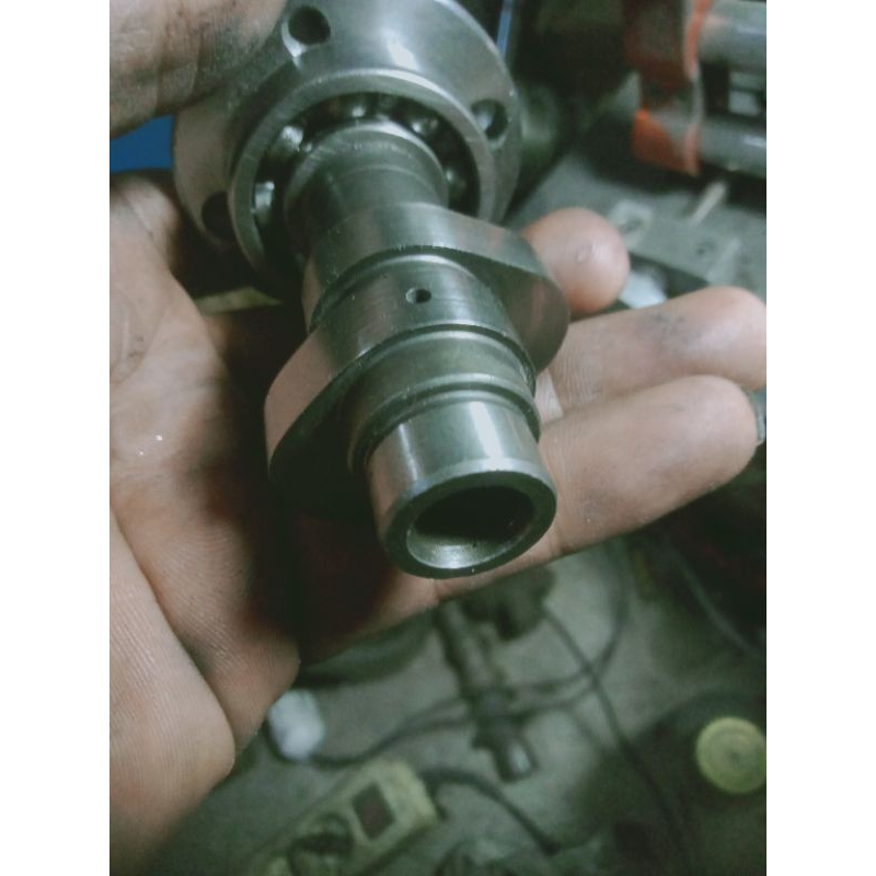 noken as gl/mp/Tiger /harian kompetisi