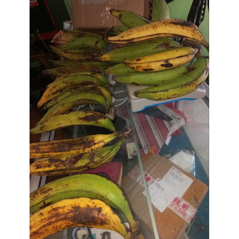 

10 pcs pisang tanduk muria