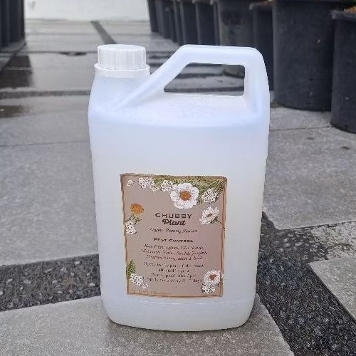 isi ulang pest control Chubby Plant pestisida insektisida siap pakai spray untuk tanaman hias bunga 