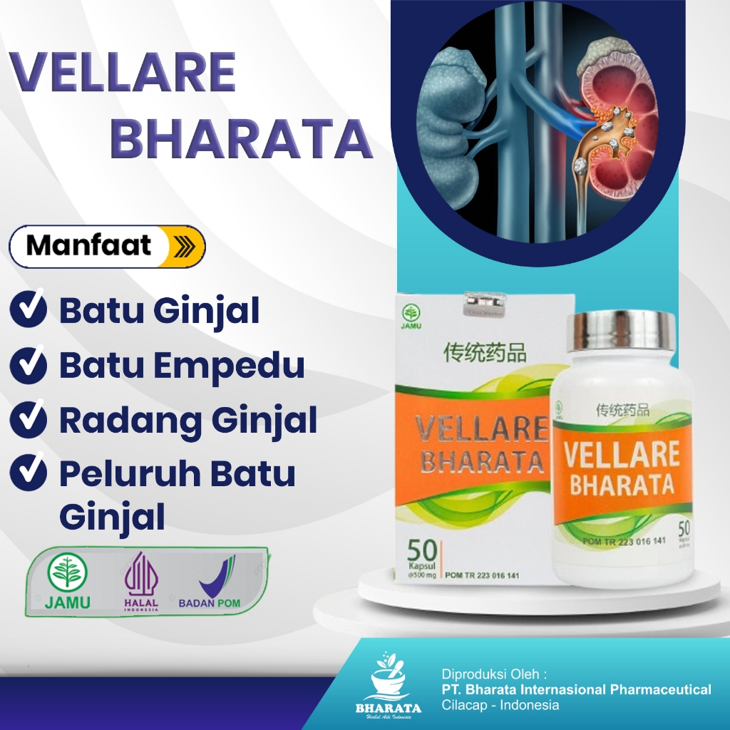 OBAT HERBAL PELURUH BATU GINJAL - BATU EMPEDU - SAKIT GINJAL - VELLARE BHARATA