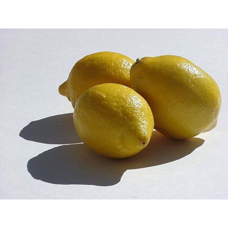 

Fresh Lemon