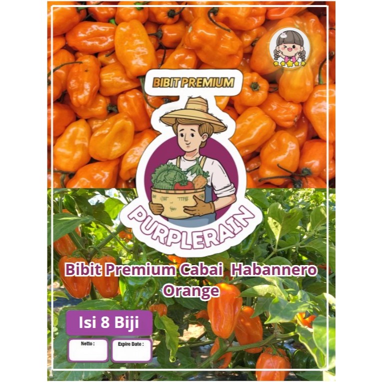 Bibit Premium Cabe Habanero Orange |Benih Cabe Orange Habanero|Cabe Habanero