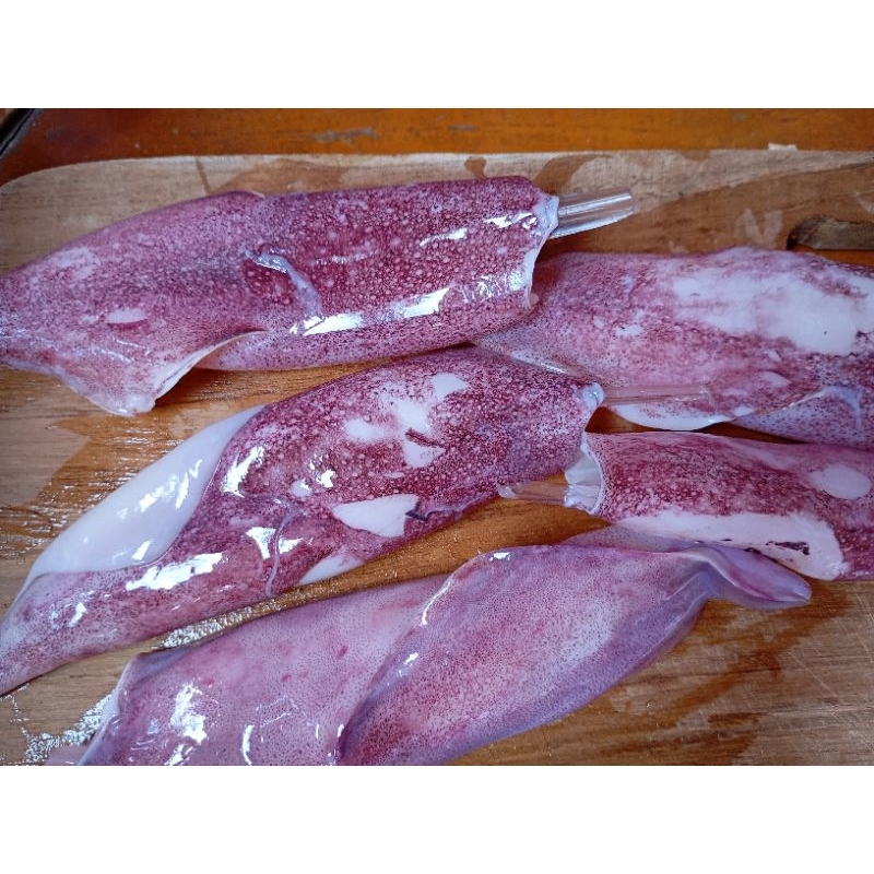 

Cumi Basah 500gram. fresh bukan frozen