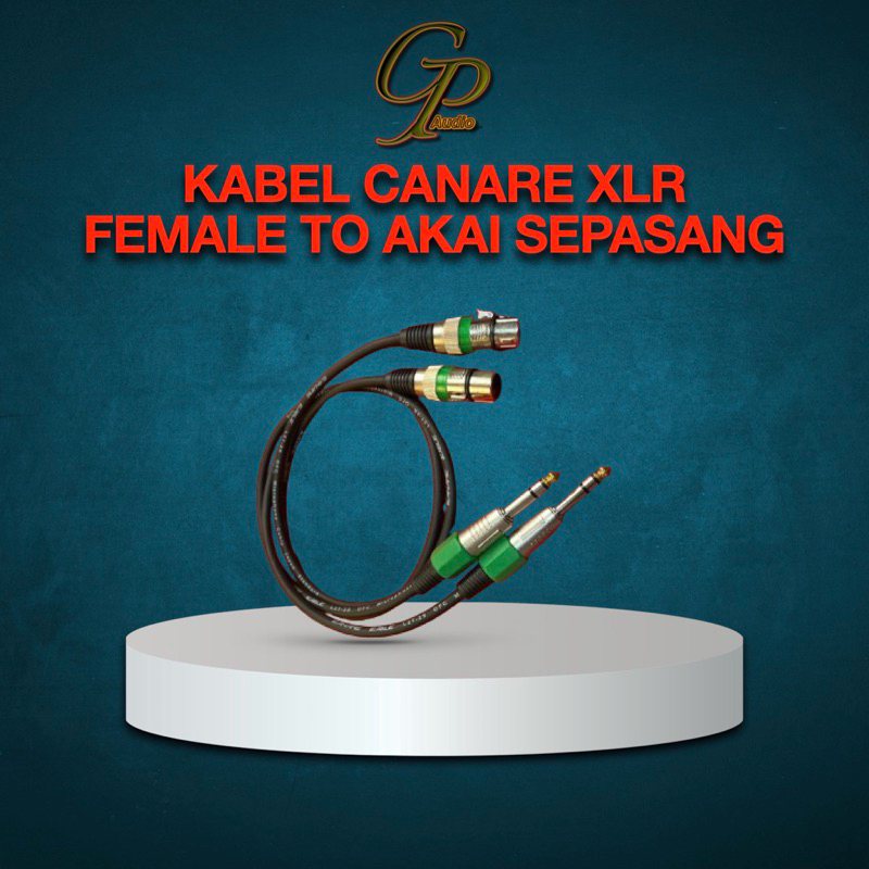 Sepasang Kabel jek XLR