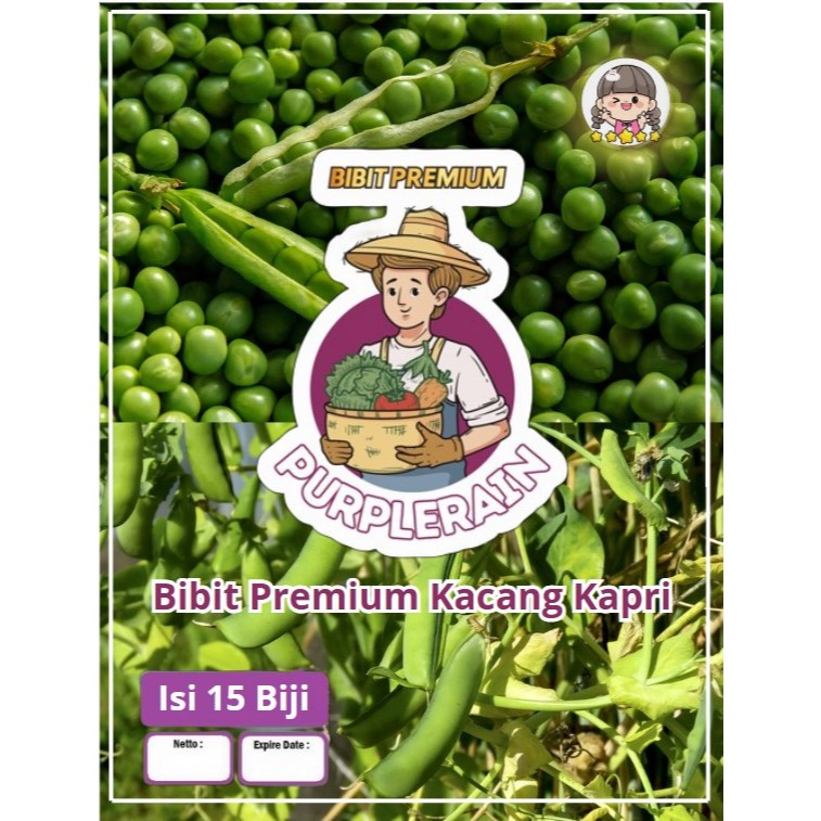 Bibit Premium Kacang Kapri | Benih Kacang Kapri Polong