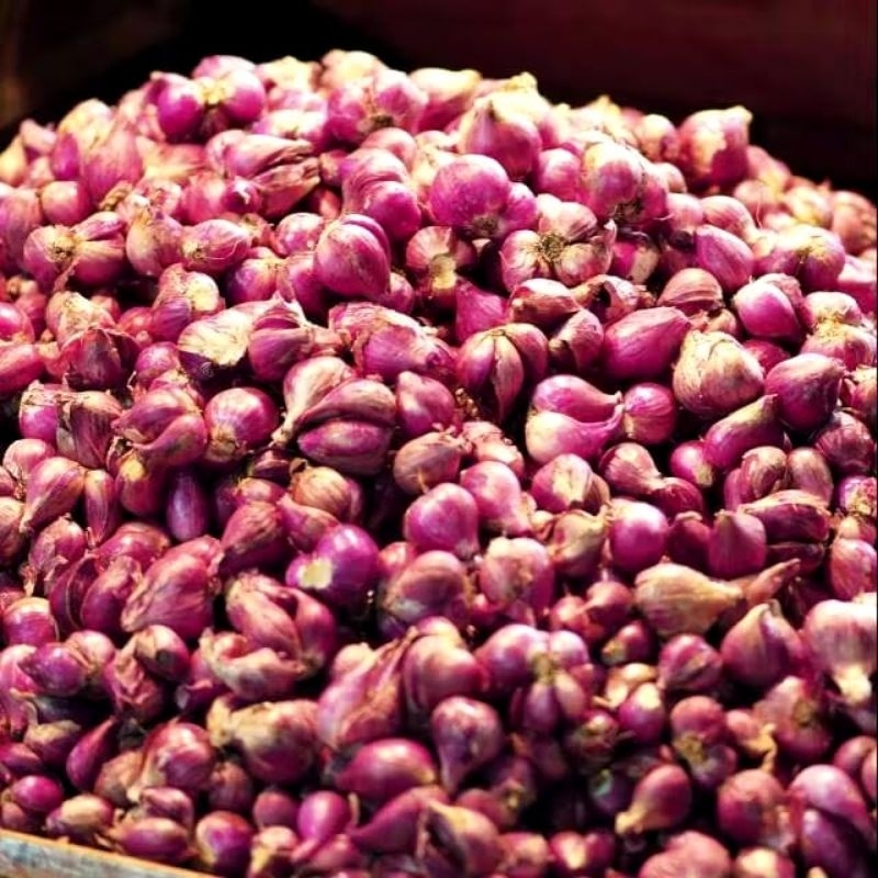 

Sekar_Shop07 1Kg Bawang Goreng Asli Brebes 1Kg Brambang Goreng Brebes Premium Fried Onion Asli