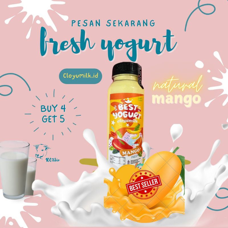 

FRESH YOGURT MANGO FLAVOR