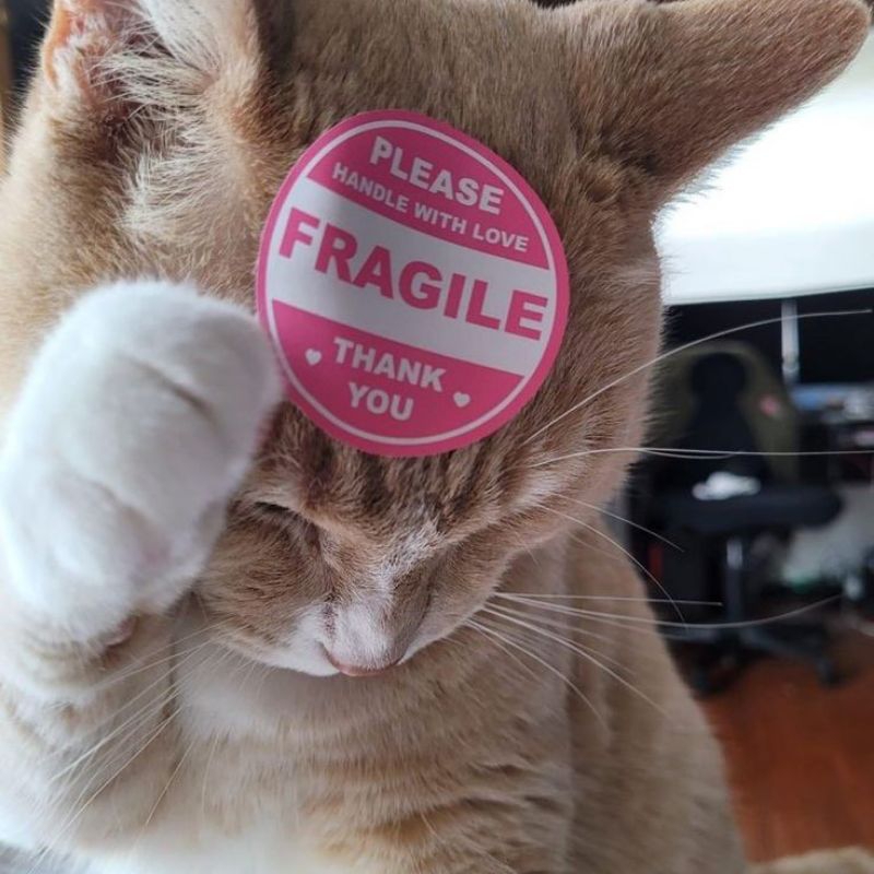 

[BOOKED] Tambahan packing mail order