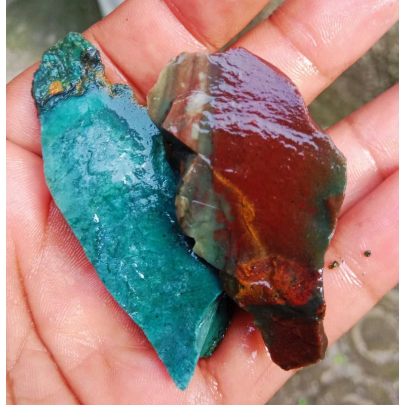 2keping bahan ijo garut vs merah garut