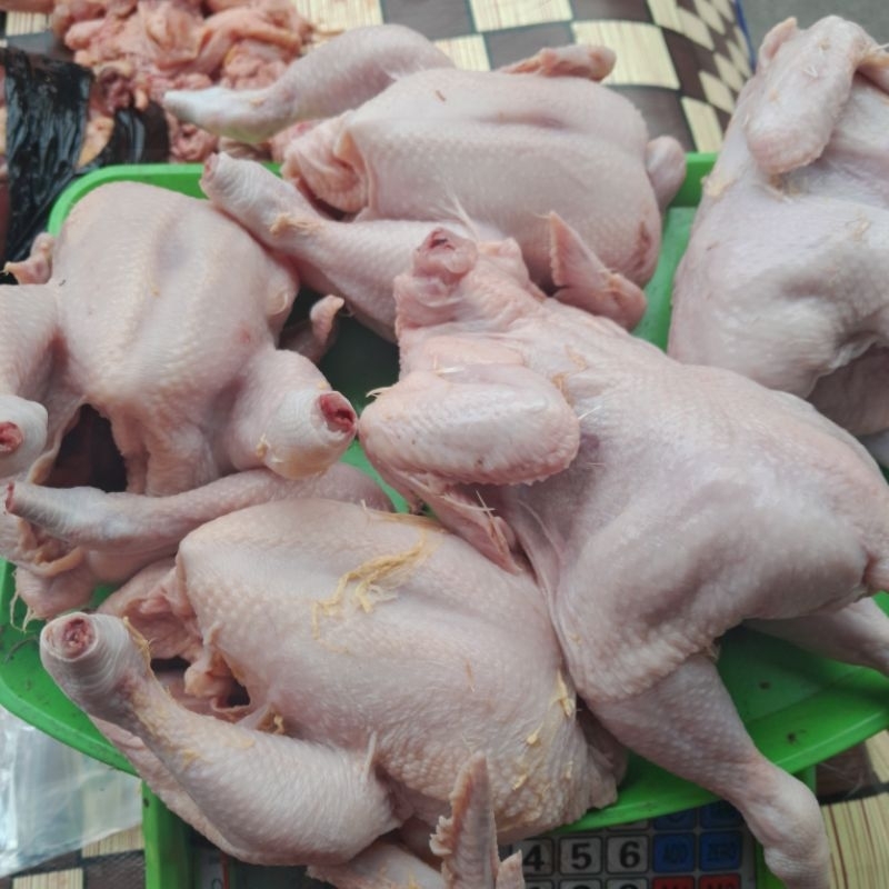 

ayam karkas berat 0,5kg