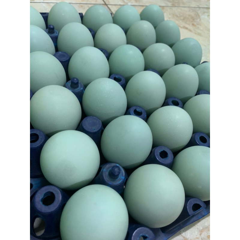 

Telor asin home made