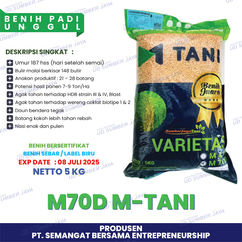 Benih Padi M70D M-TANI ASLI Varietas Padi Genjah 70hst