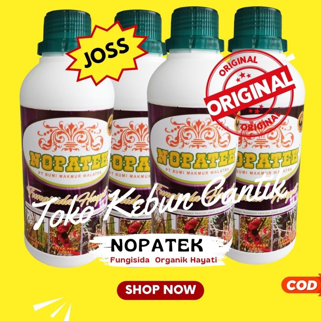 Fungisida Nopatek untuk Cabai Obat Busuk Buah Cabe Tomat Terong Timun Anggur Mangga Durian Kelengken