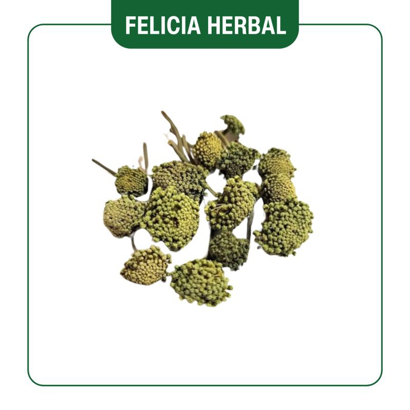 

Tian Qi Hua/ San Qi/ 田七花/ 50gr/ 100gr