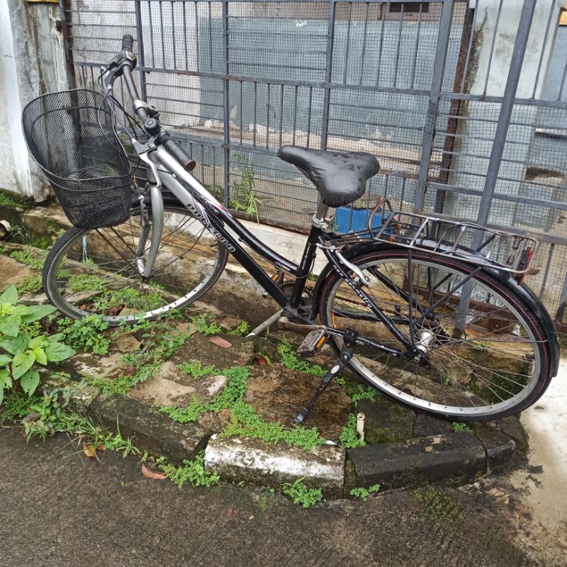 Sepeda keranjang polygon sierra 26