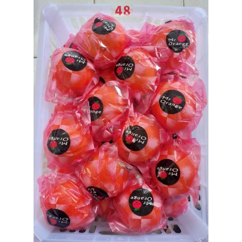 

Jeruk Sunkist Navel Mr Orange 13kg/keranjang