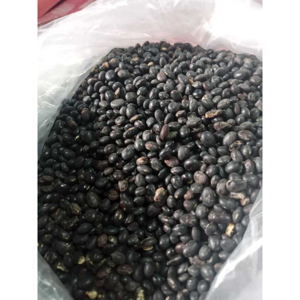 

Kacang Kedelai Hitam Import Kedelai Malika Black Bean 1 Kg Bibit , Kecap