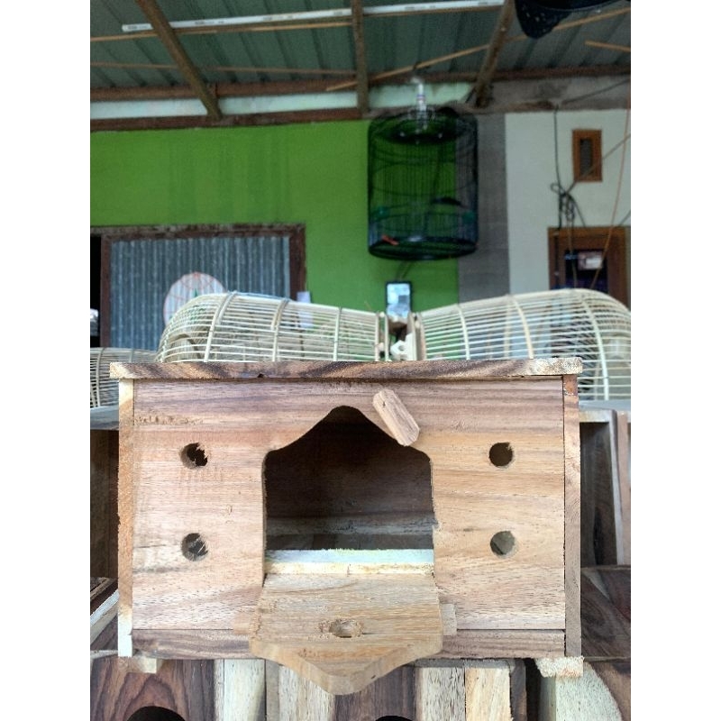 GUPON MERPATI SLOROK KECIL BAHAN KAYU TREMBESI