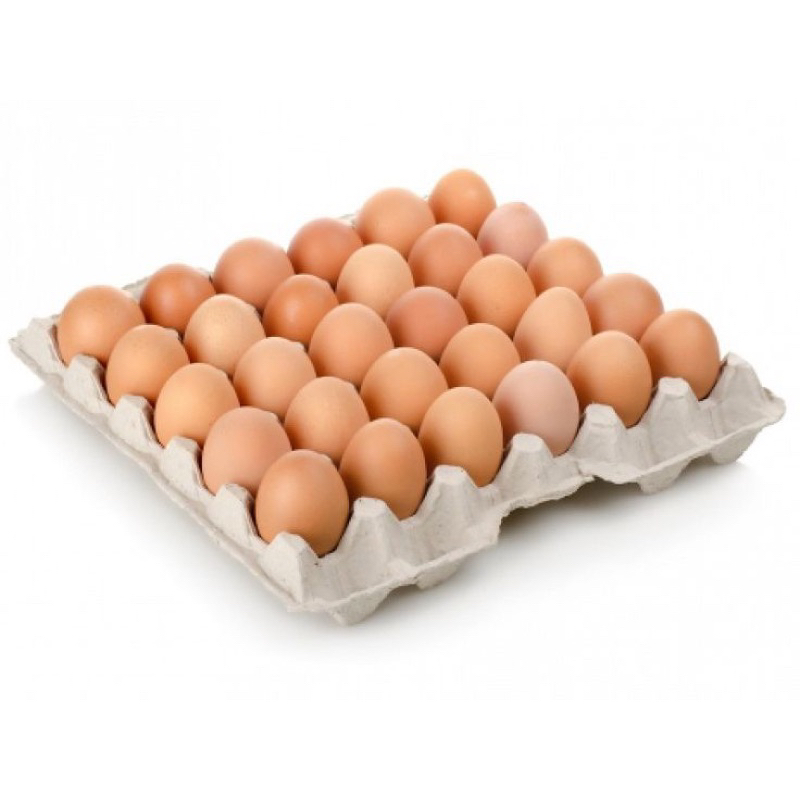 

Telur standar 1 rak