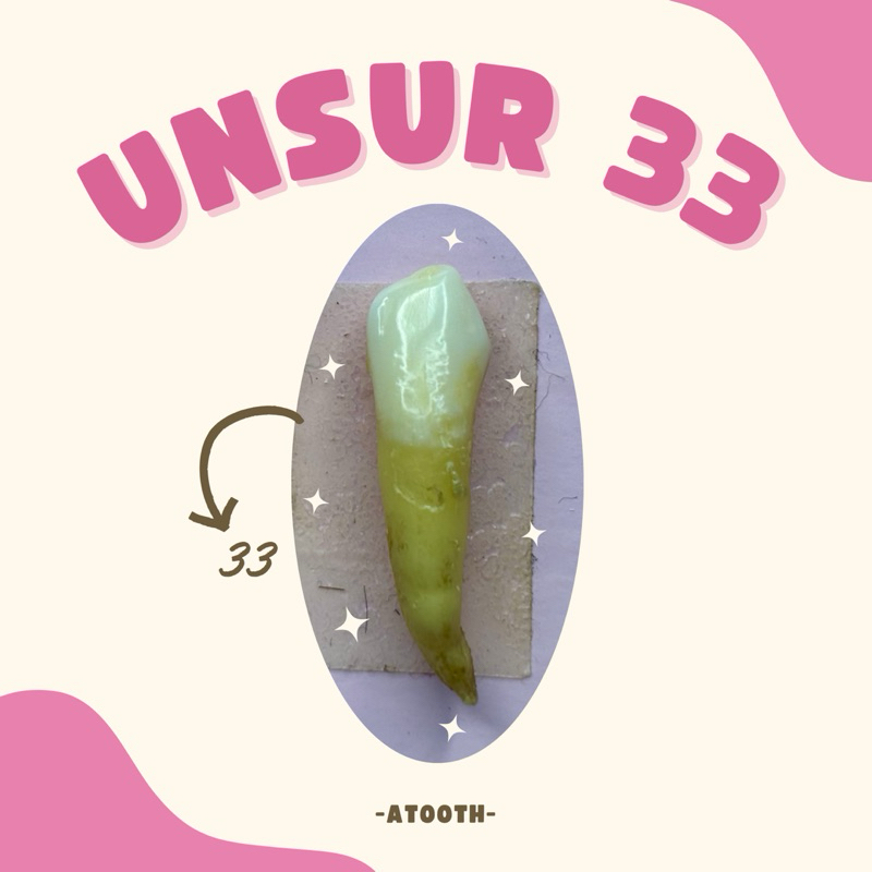 Unsur Gigi Praktikum 33