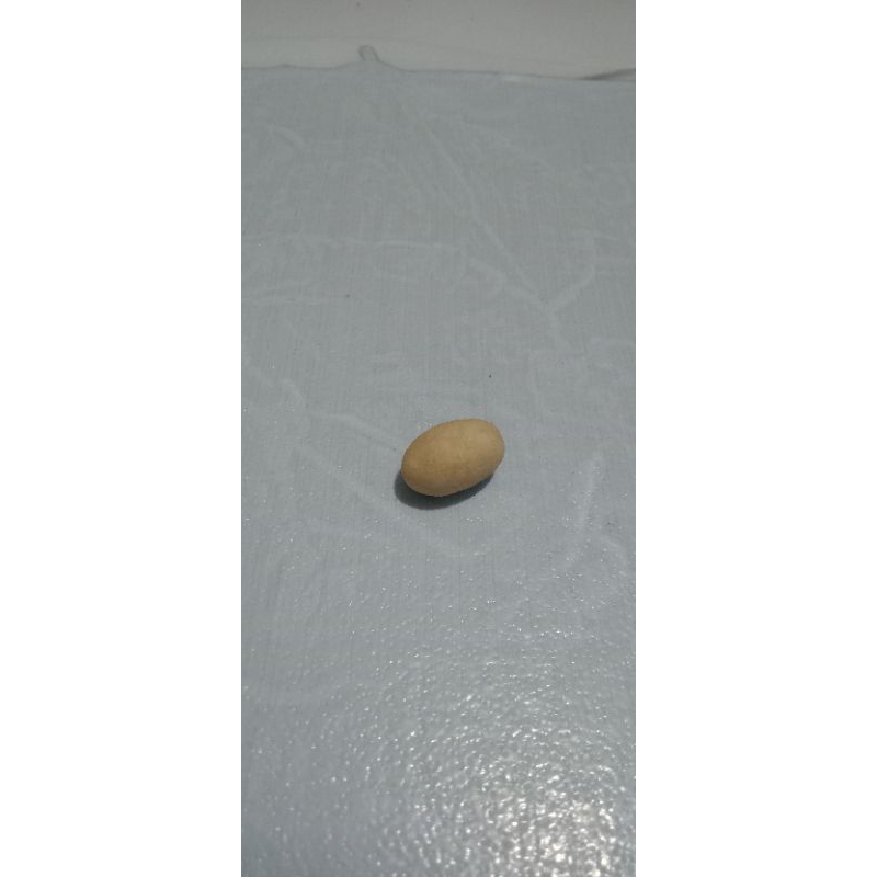 

Kacang Panggang perbiji / cemilan kacang panggang perbiji
