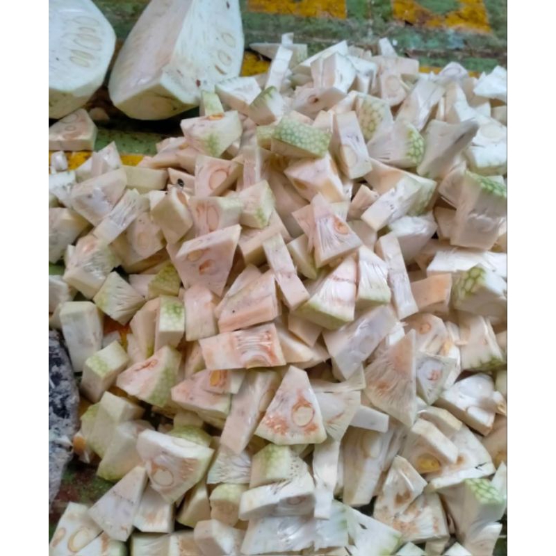 

INSTAN - NANGKA MUDA KUPAS 500GRAM