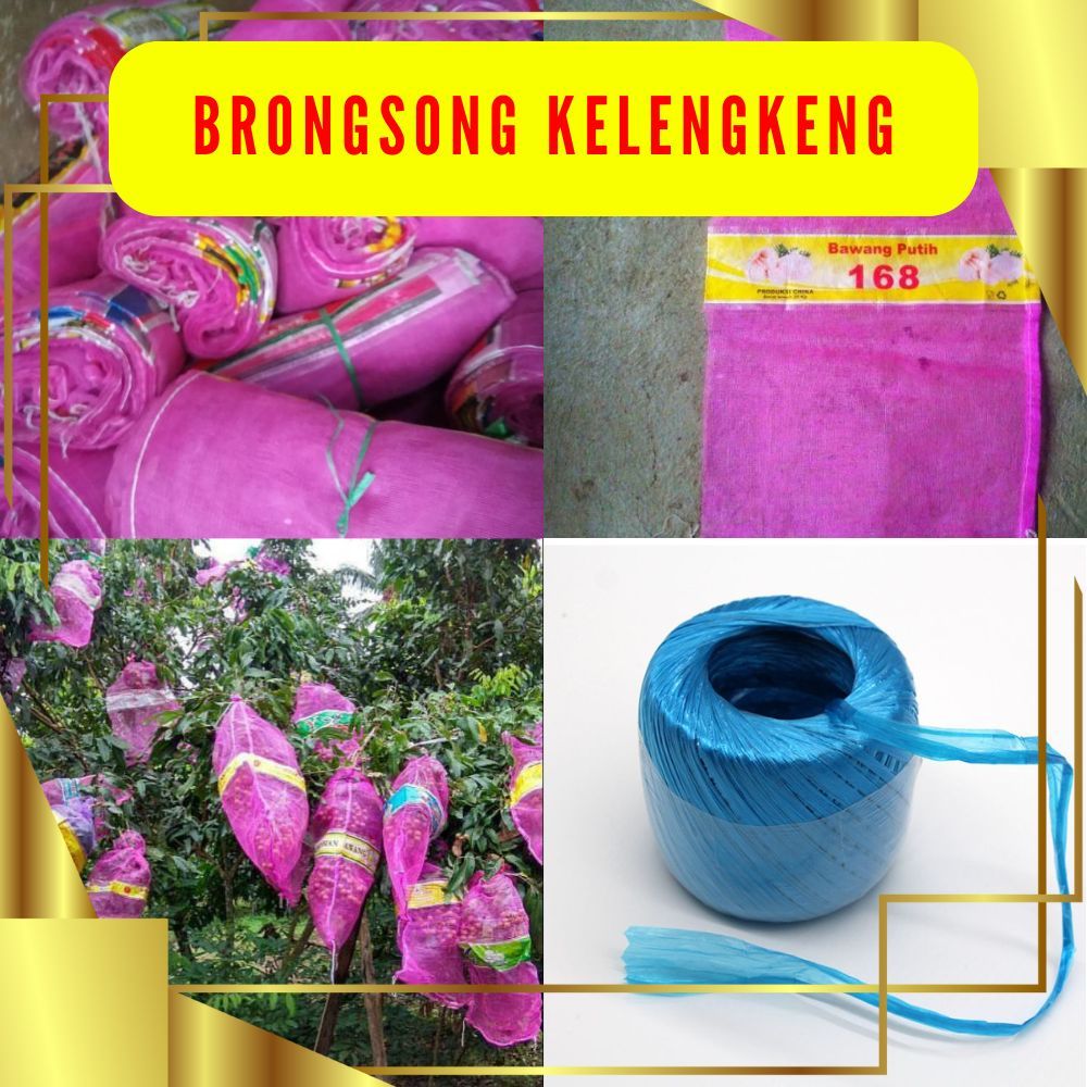 TERLARIS. Brongsong Buah Kelengkeng, Brongsong Kelengkeng Dengan Tali Isi 10Pcs