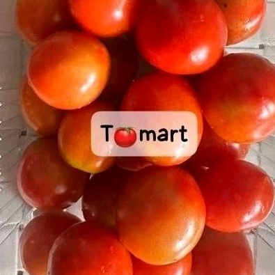 

BABY TOMATO FRESH PACK 500GR