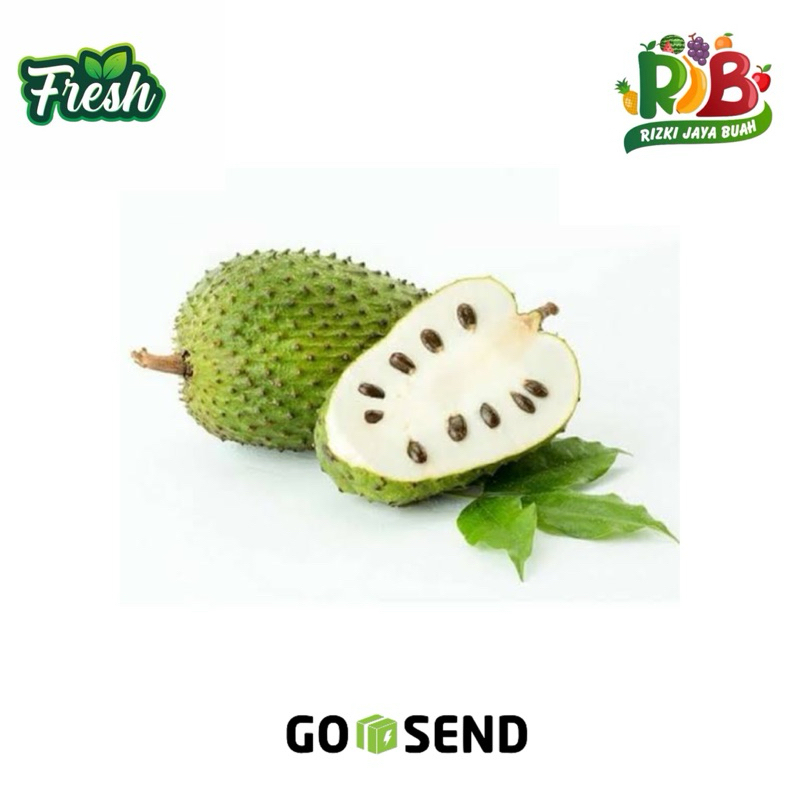 

SIRSAK MATENG/MENTAH FRES BANDUNG