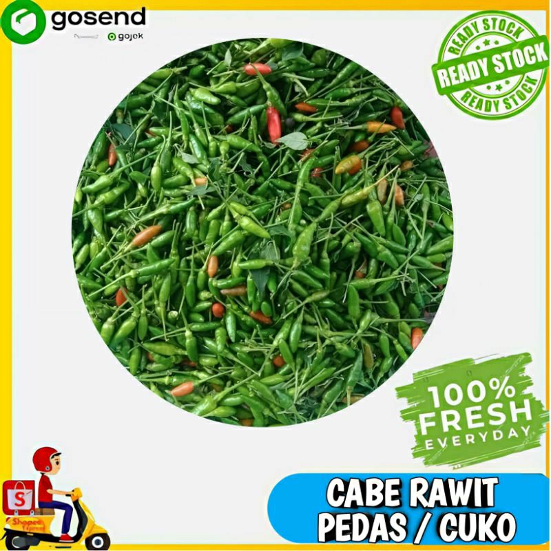 

cabai / cabe rawit asli pedas cuka / cuko - Sayur Segar Instan Palembang