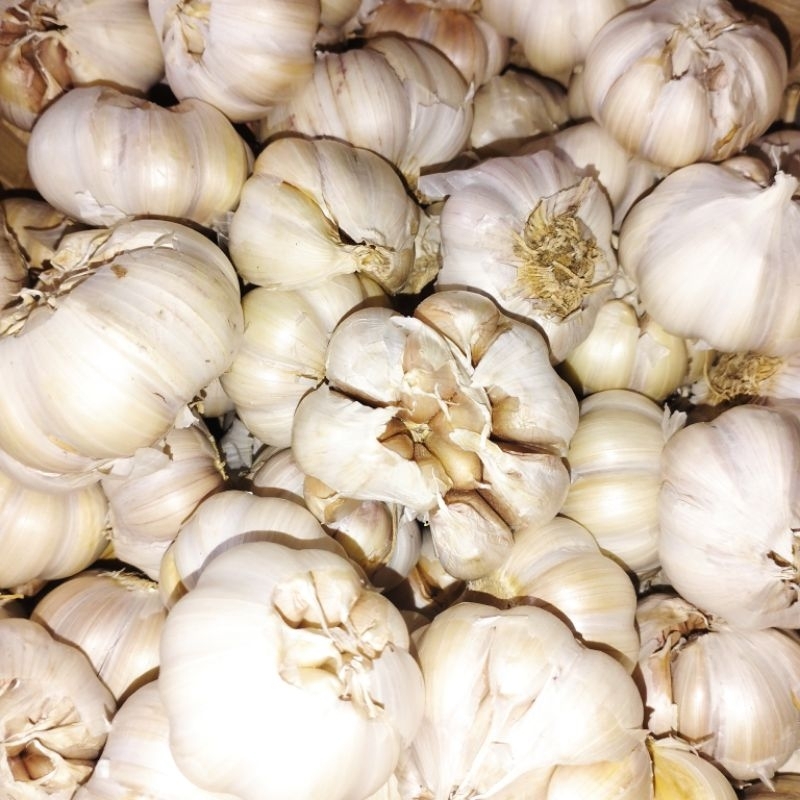 

Bawang Putih Berat Bersih 1 KG