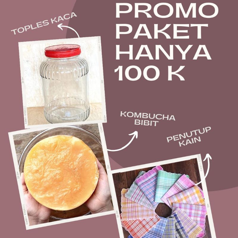 

promo paket lengkap bibit kombucha