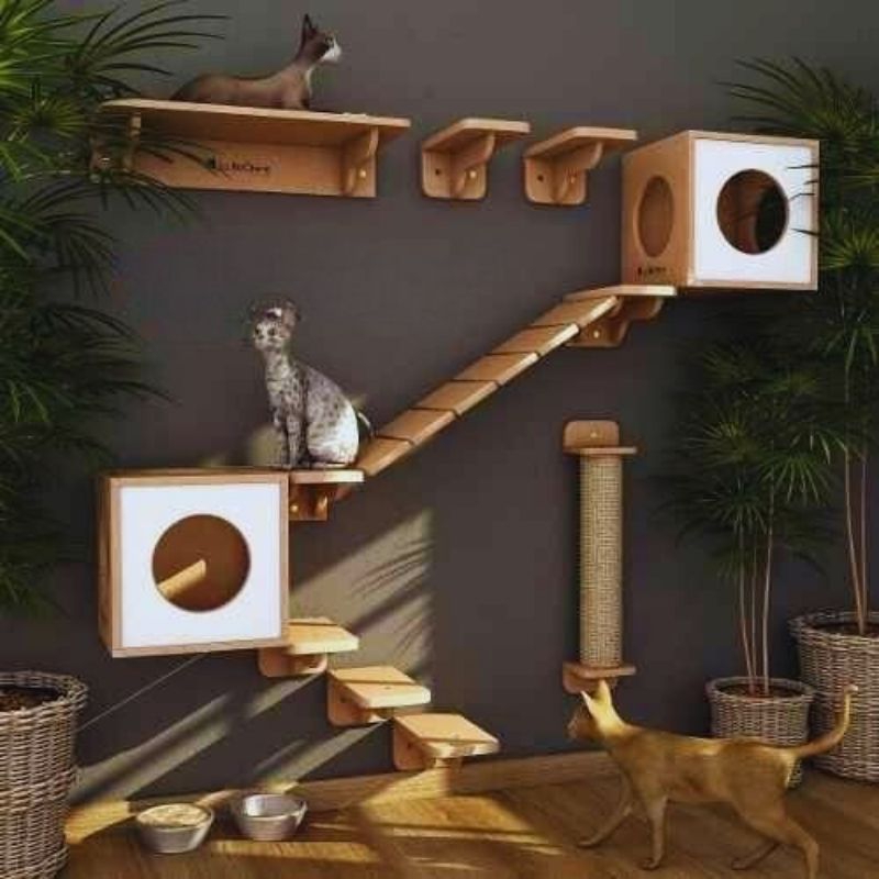 Cat condo/playground/kandang kucing