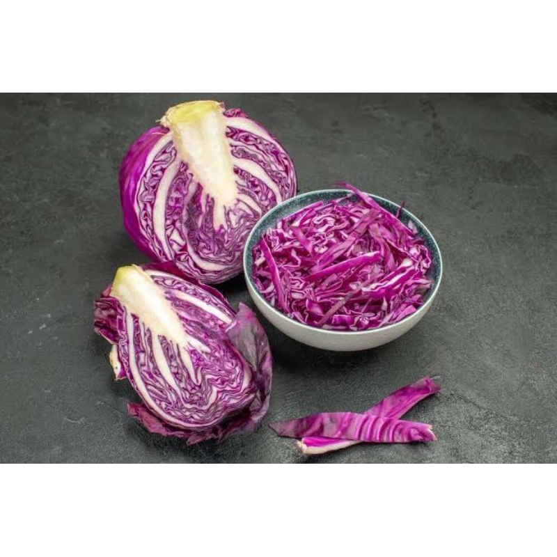 

KOL UNGU / KOL MERAH / SALAD SAYUR