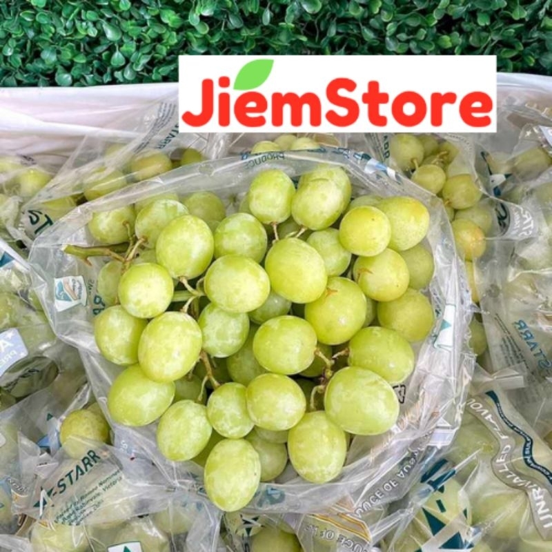 

Anggur Hijau Autumn Green Seedless Buah Segar Fresh Fruit