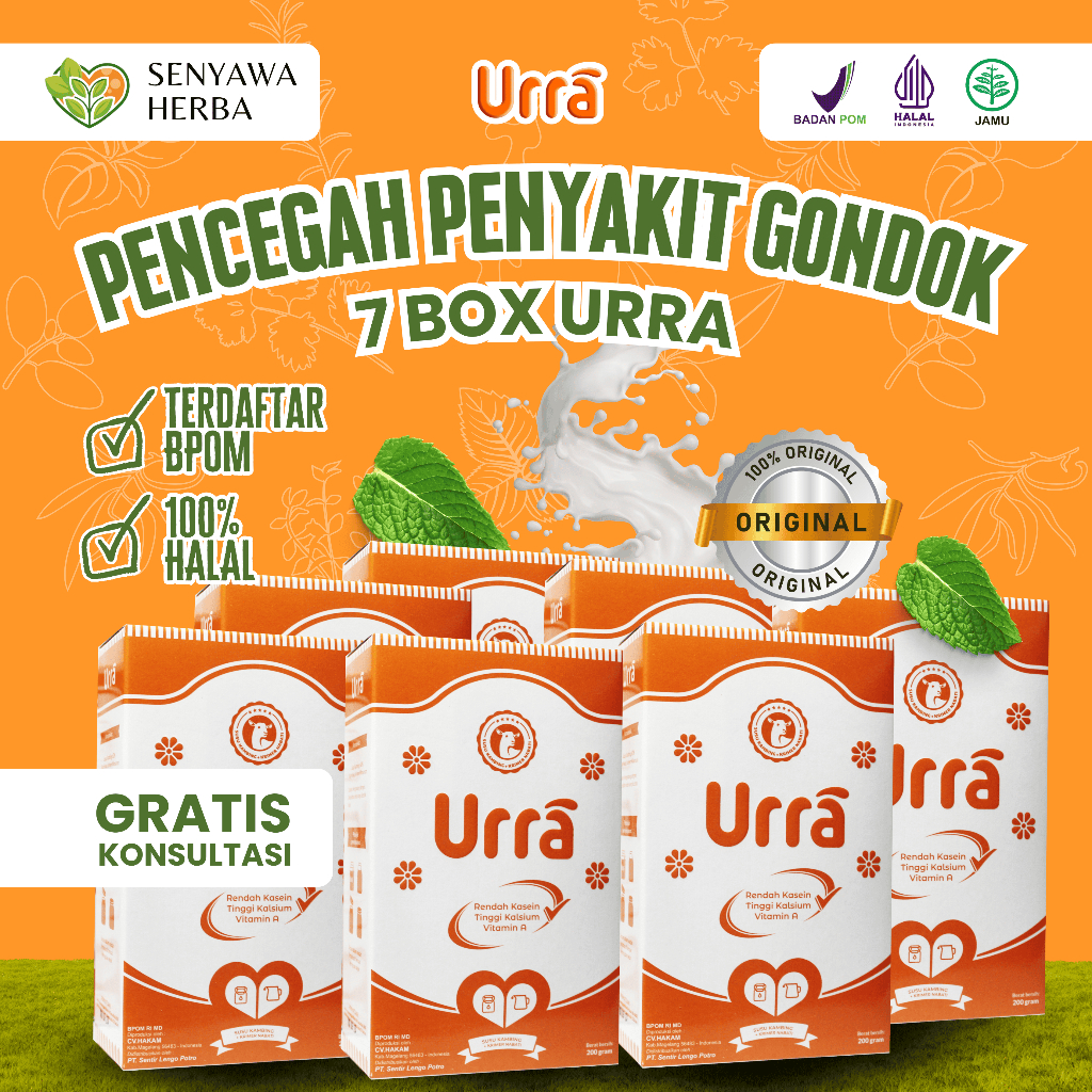 

Paket 7 Box URRA Susu Kambing Saanen Untuk Pencegah Gondok Anak Rasa Original 200gr