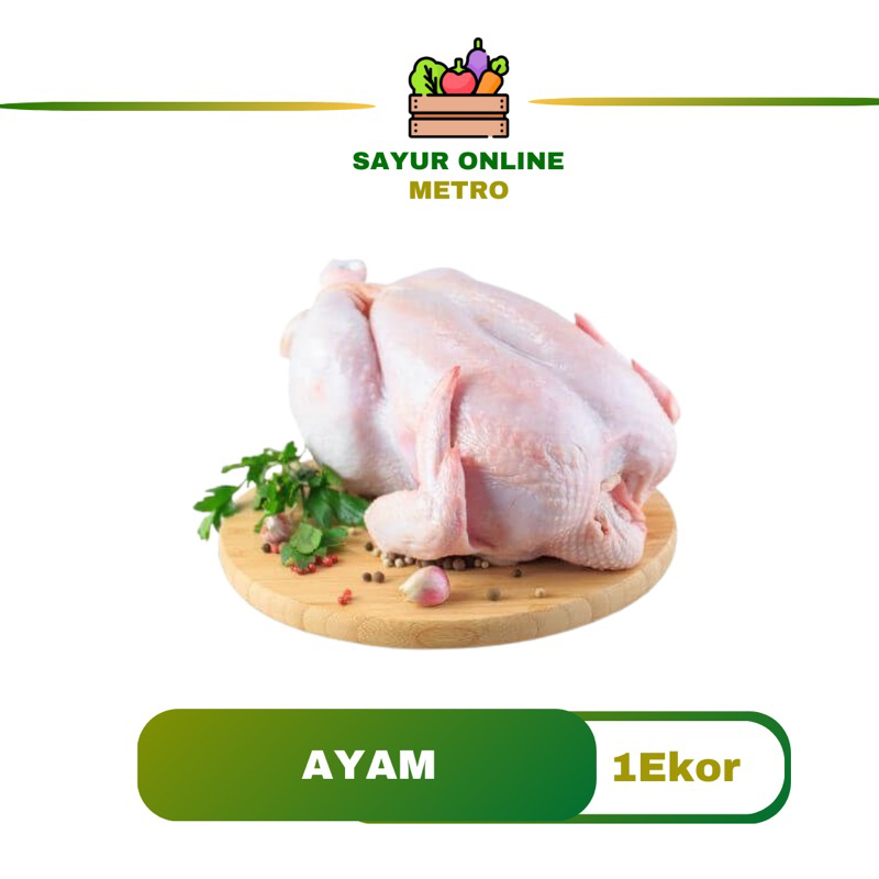 

Ayam Segar 1 Ekor - Sayur Online Metro
