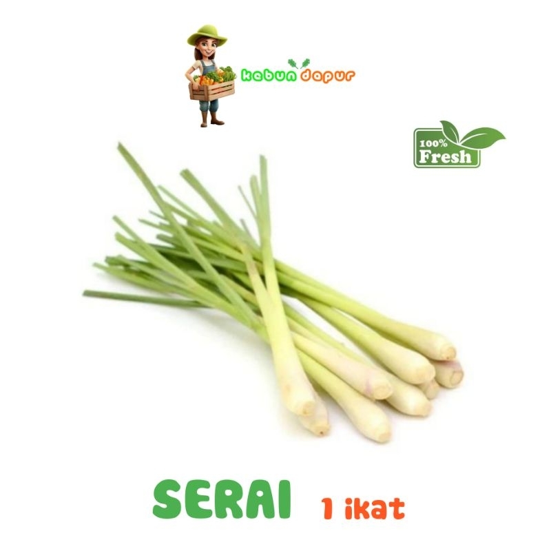 

SERAI FRESH Harga eceran -Kebun Dapur-