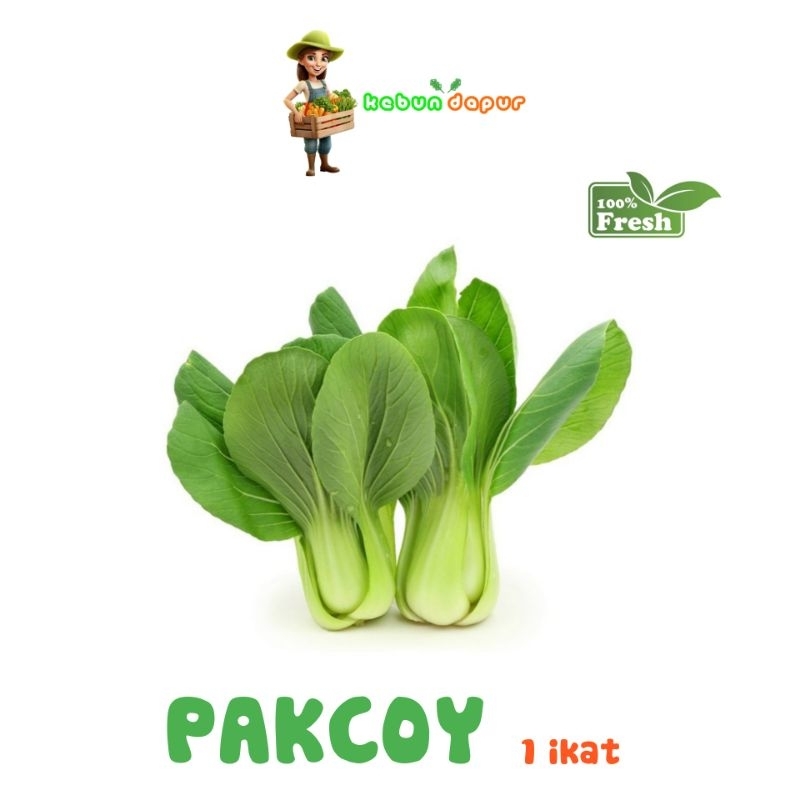 

PAKCOY HIJAU FRESH Harga per 1 ikat/pack -Kebun Dapur-