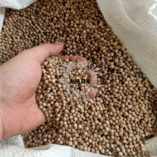 

KETUMBAR PREMIUM KUALITAS GRADE A 2.5KG