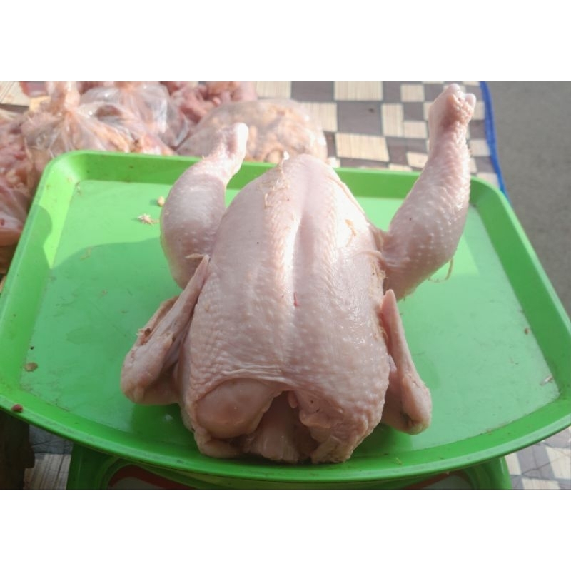 

ayam broiler 800 gram
