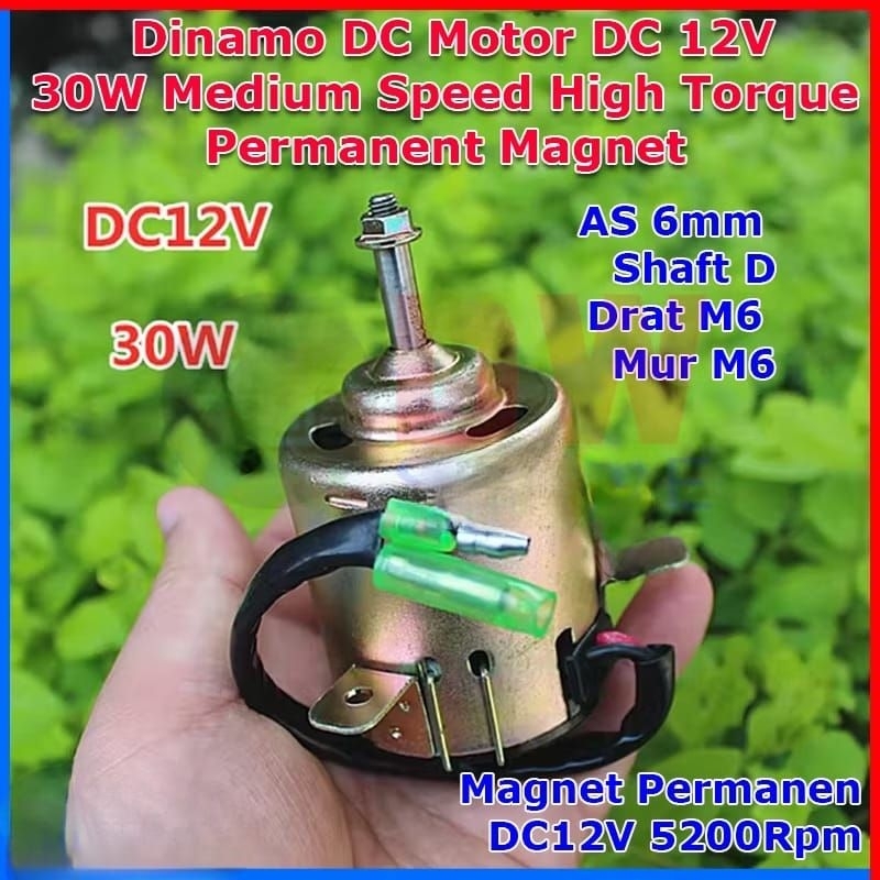 Dinamo DC Motor DC 12V 30W Permanent Magnet Permanen Carbon Brush