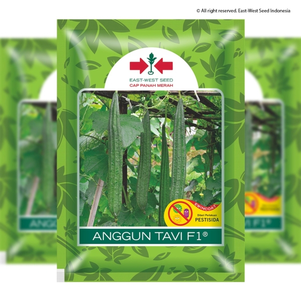 Benih Oyong ANGGUN TAVI Kemasan 75 Btr