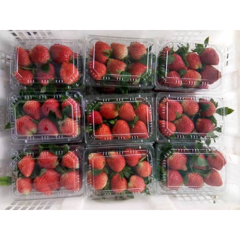 

Buah Strawberry Fresh - 250gr