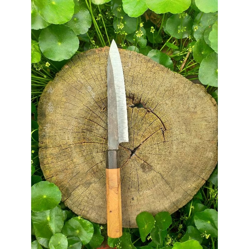 Pisau Dapur model Pisau jepang