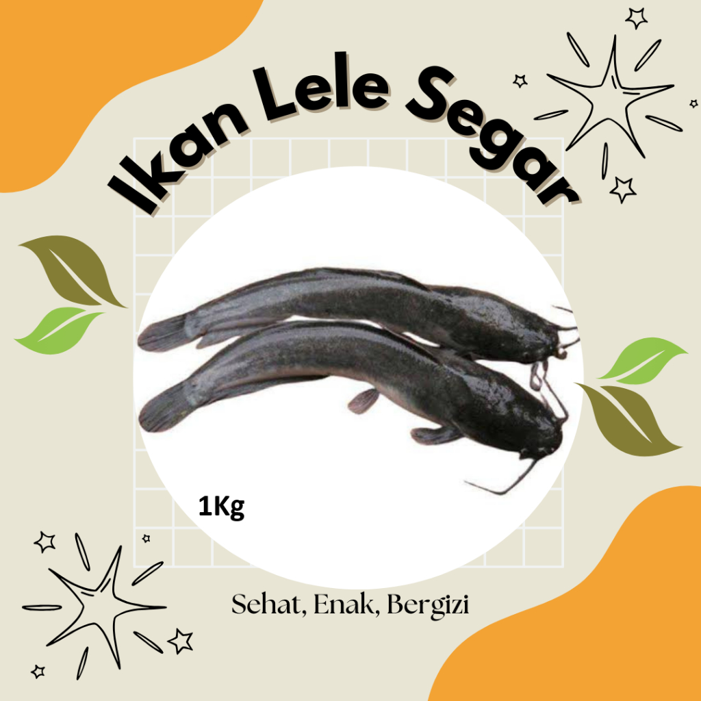 

Ikan Lele 1Kg Segar Premium, Harga Terjangkau