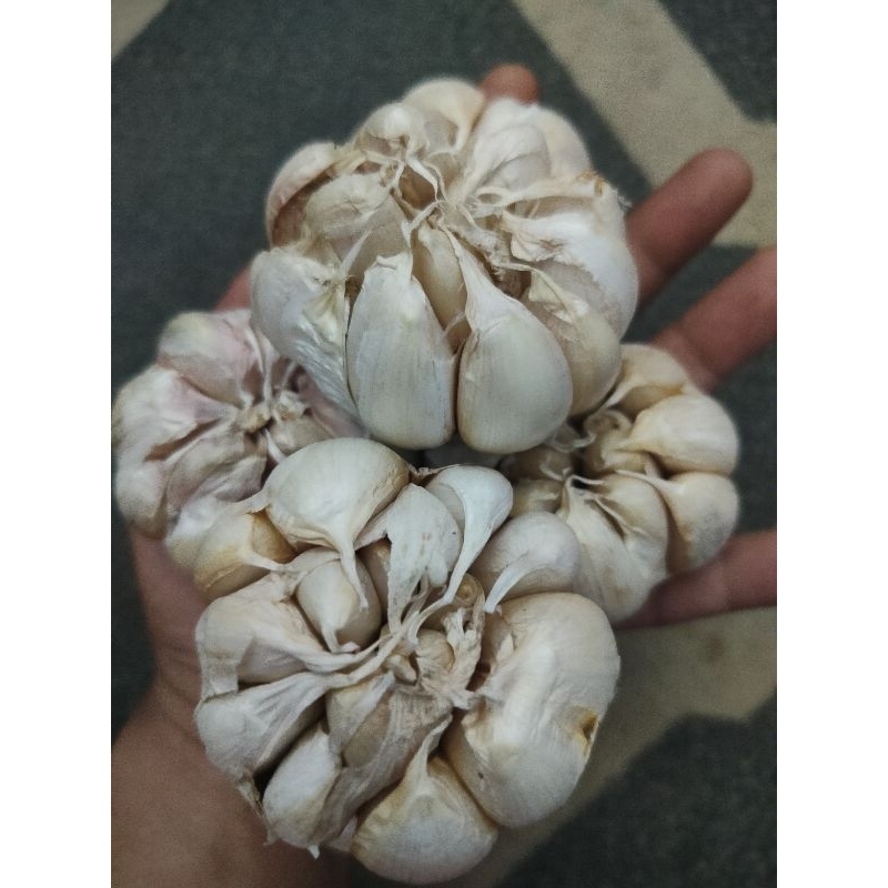 

Bawang Putih Segar 250gr