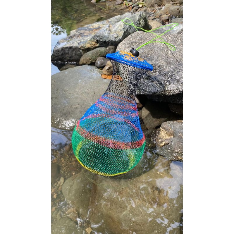 KOJA IKAN KORANG IKAN