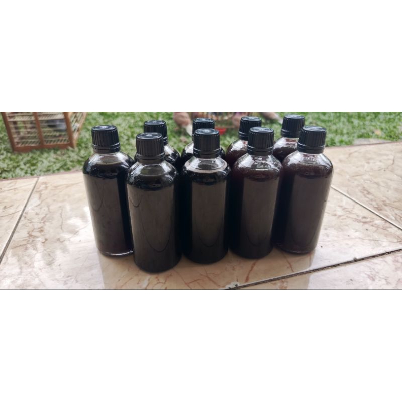 madu obat lebah kelulut  torasika