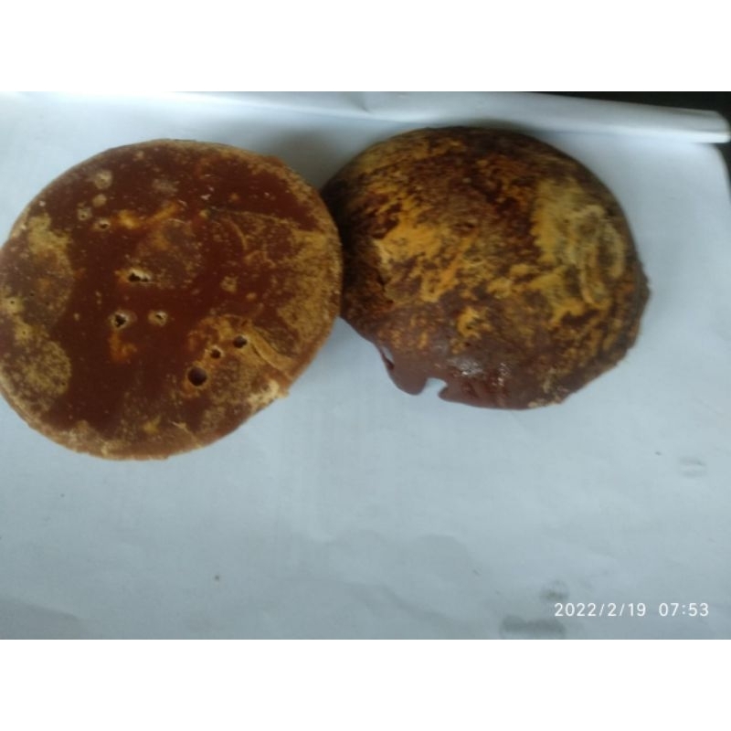 

gula aren